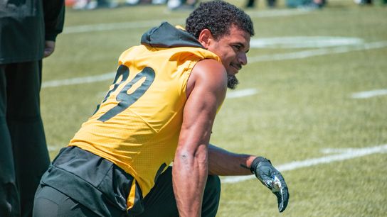 Steelers, Fitzpatrick agree to record contract extension taken on the South Side (Steelers)